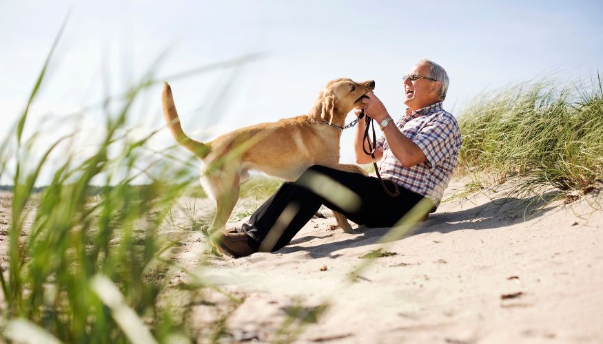 dog and man on beach